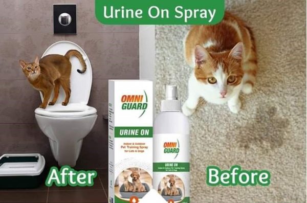 Urine On Spray