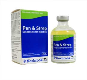 Pen & Strep