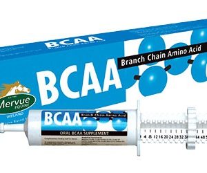 BCAA AVet Market