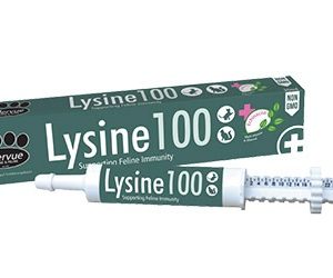 Lysine 100 AVet Market