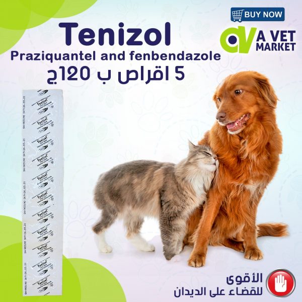 Tenizol AVet Market